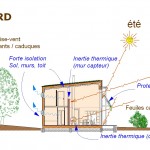 Coupe - Maison bioclimatique